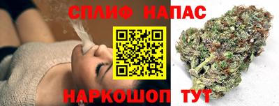 соль ск Новозыбков